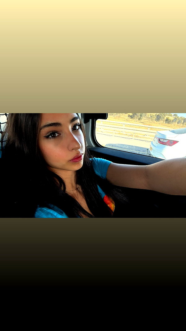 l1amsii instagram image archive image
