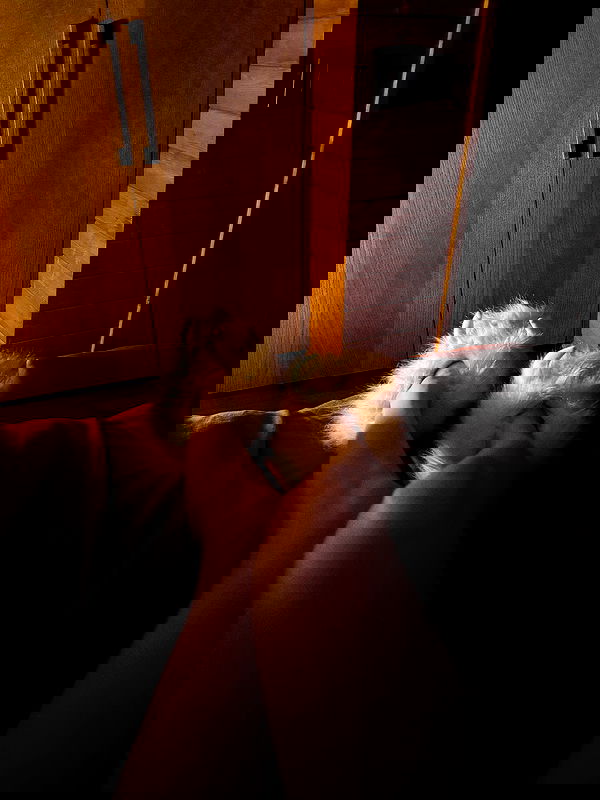 carolinezalog carolinezalog archive image