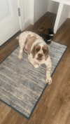 olivia.bolgerr Altpins Profile Picture