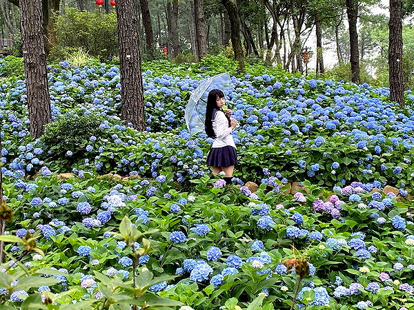 erokochiba instagram image archive image