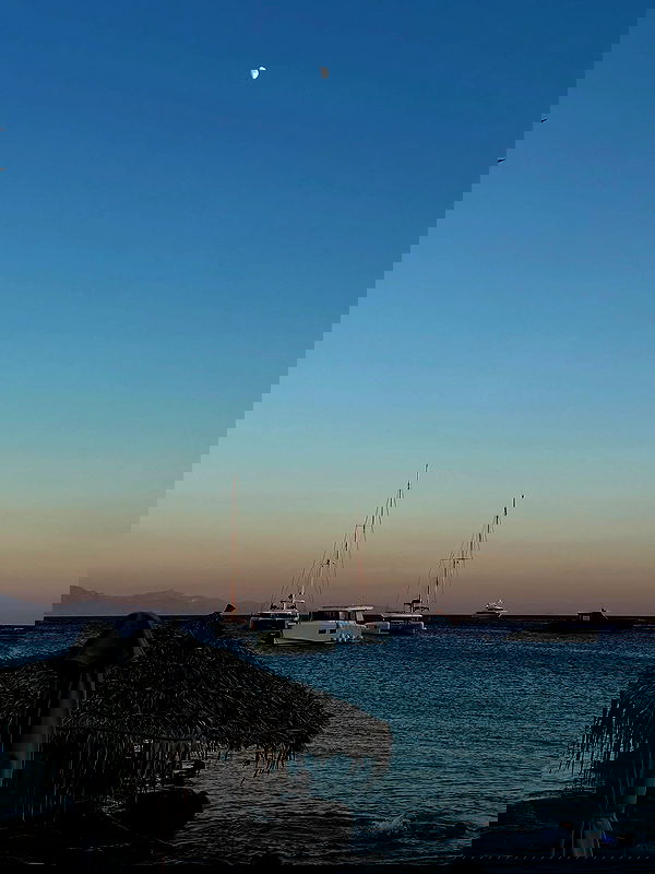 taylor.creeden taylor.creeden archive image