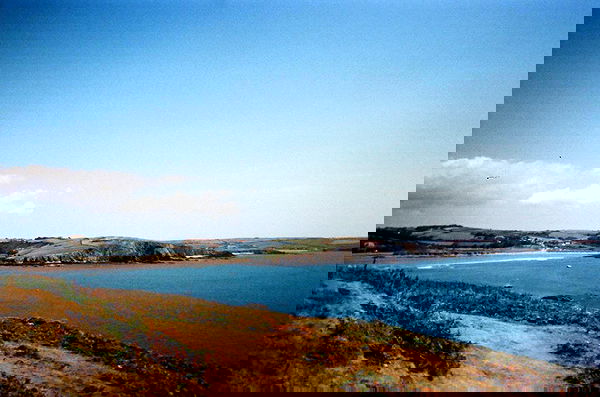 veiyul veiyul archive image