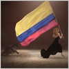 shakira Altpins Profile Picture