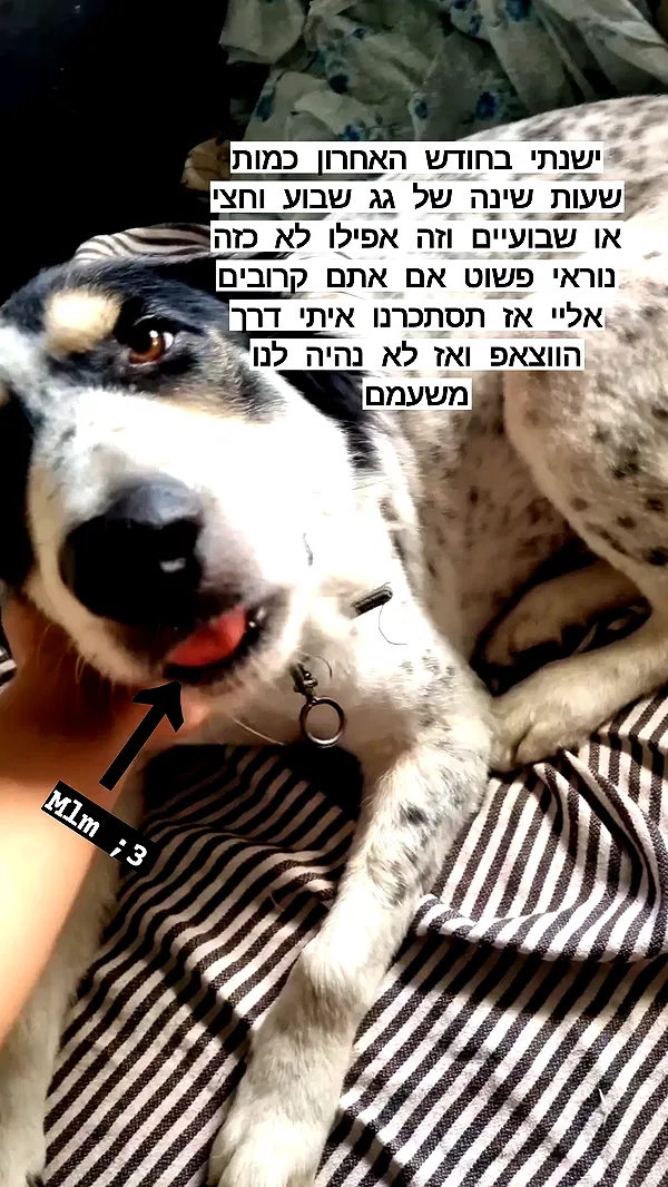 moonyyyya moonyyyya archive image