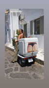 michalcohen___ Altpins Profile Picture