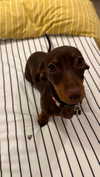 maya.keyy Altpins Profile Picture