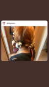 babynympho_archive Altpins Profile Picture