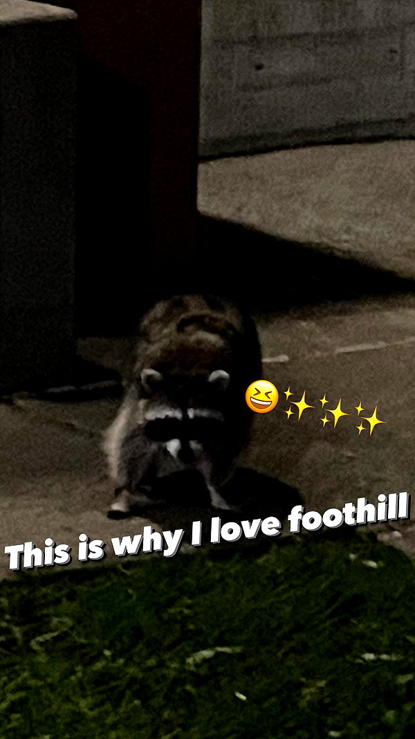 shulunc instagram image archive image
