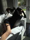 kyliejenner Altpins Profile Picture