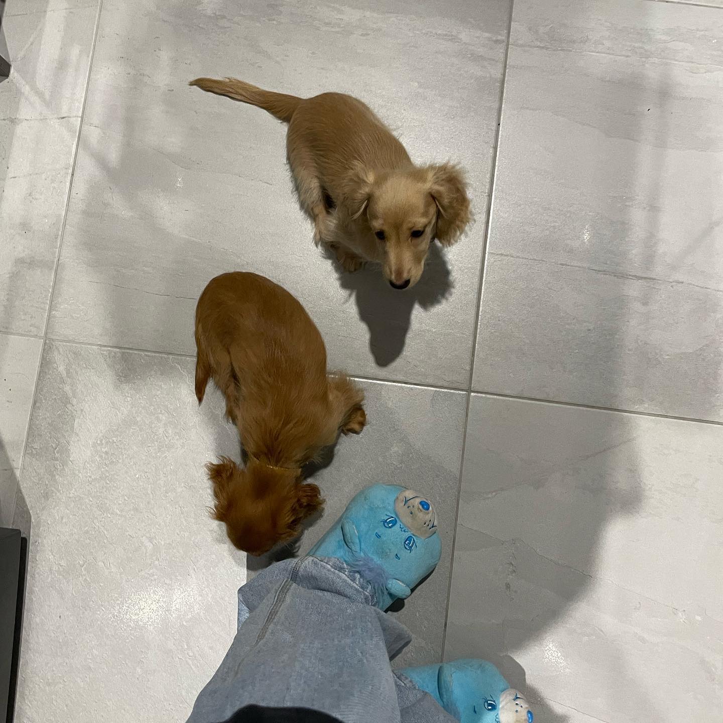 jtilb2 instagram image archive image