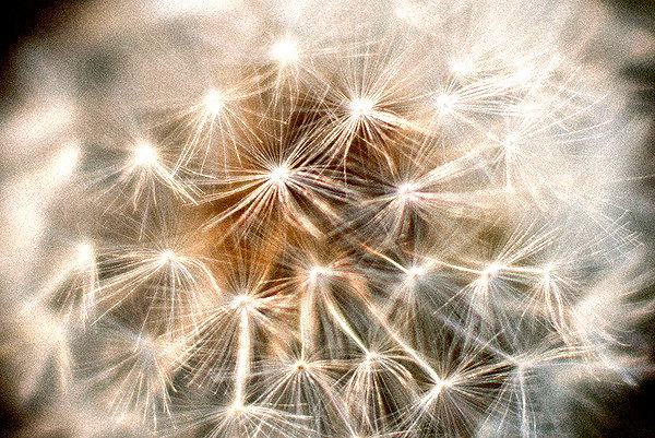 hallucineon instagram image archive image