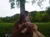 m1lkh8club Altpins Profile Picture
