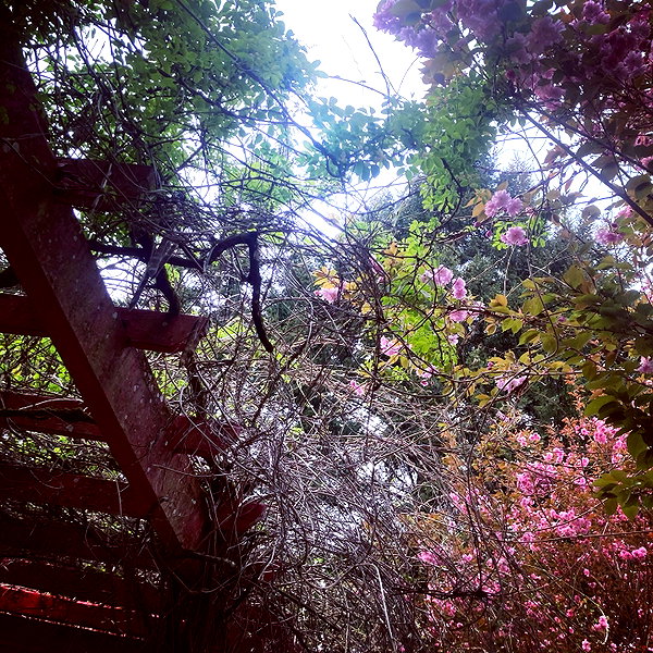 caterpiekae instagram image archive image