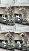 777pb_ Altpins Profile Picture