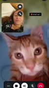 1justsabi Altpins Profile Picture