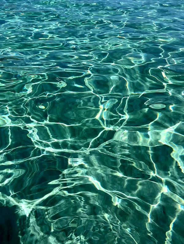 mayaellron instagram image archive image
