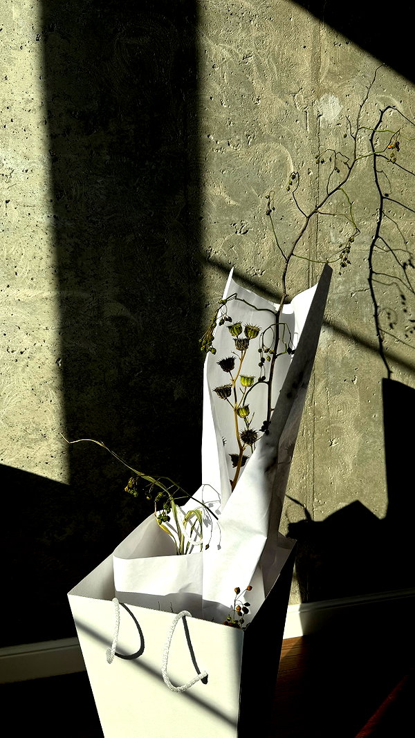 vvelum_ archive image