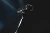adele Altpins Profile Picture