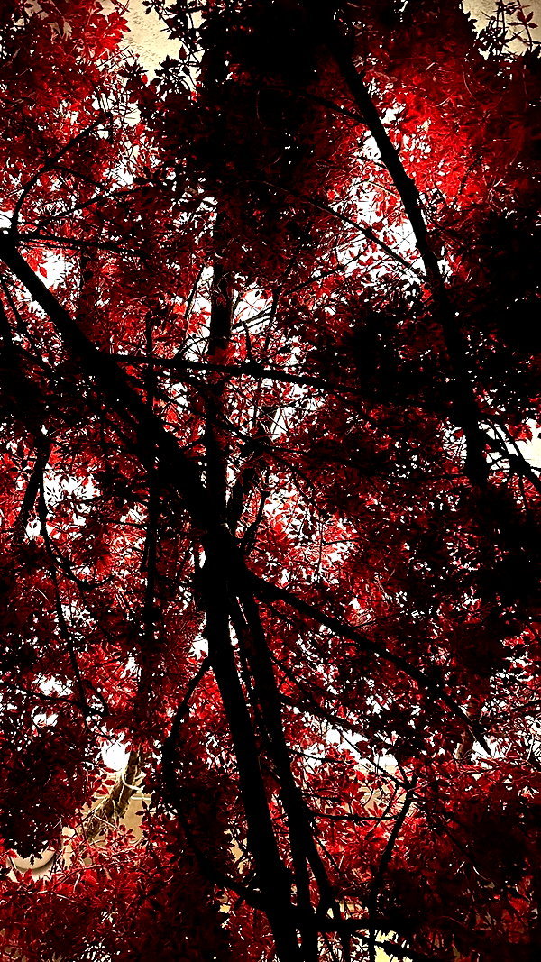 veroni22ka veroni22ka archive image