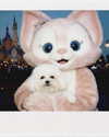 ll.lu1s Altpins Profile Picture