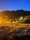 daisy_r_19 Altpins Profile Picture