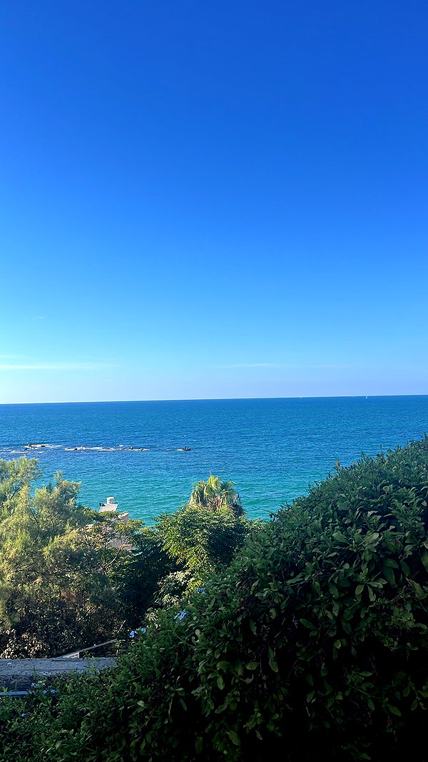 yaelxyazdi instagram image archive image