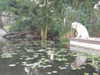 seal.lover64 Altpins Profile Picture