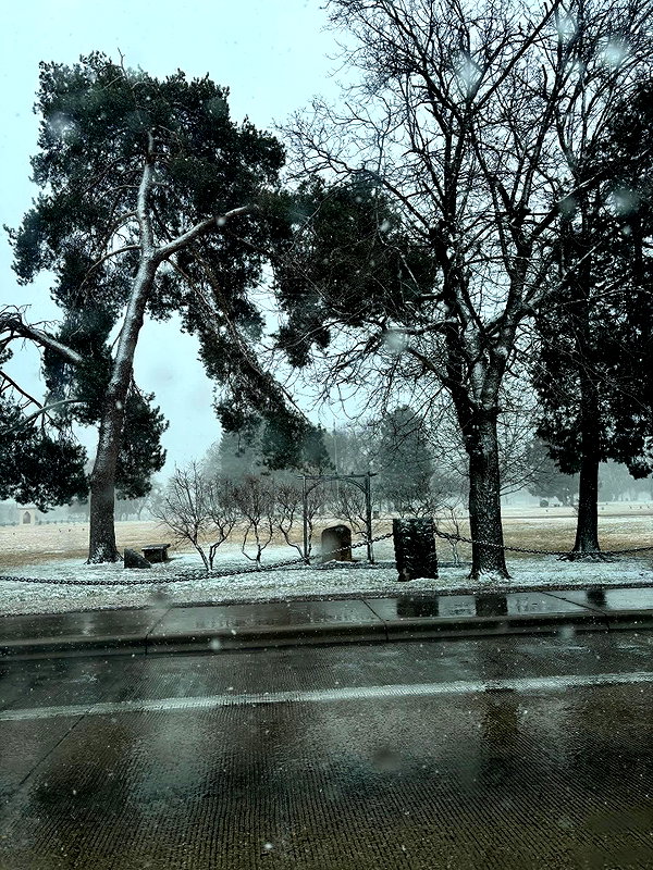 astarwbry_ instagram image archive image