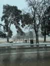 astarwbry_ Altpins Profile Picture