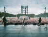cannonstheband Altpins Profile Picture