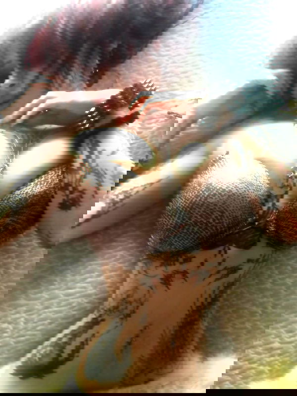 zommmbri zommmbri archive image