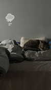 milena_milachich Altpins Profile Picture