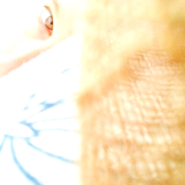 adihimelbloy instagram image archive image
