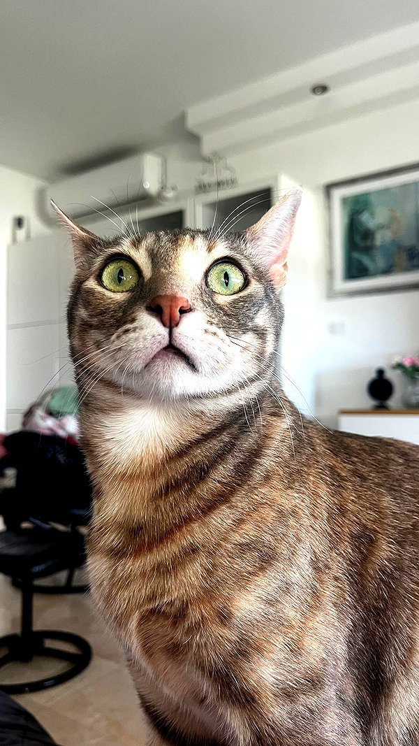 Archived image from @notchicore on Instagram