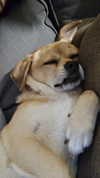 alma.almog Altpins Profile Picture