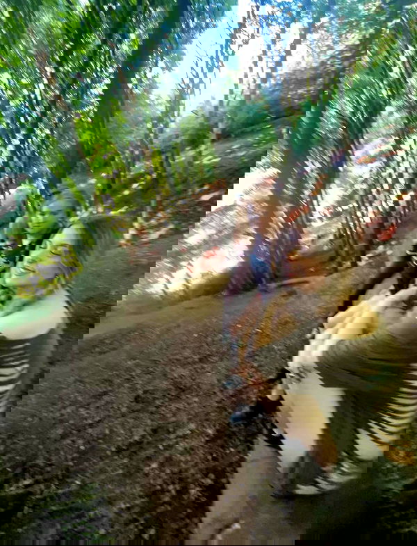 kitty.elliss kitty.elliss archive image