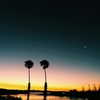 gabbyepstein Altpins Profile Picture