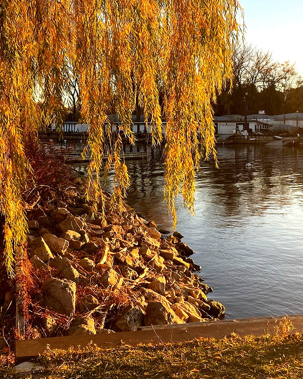 taratornquist instagram image archive image