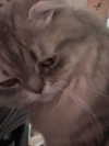wannabeyourbabygirl Altpins Profile Picture