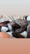 marilyn_damaged Altpins Profile Picture