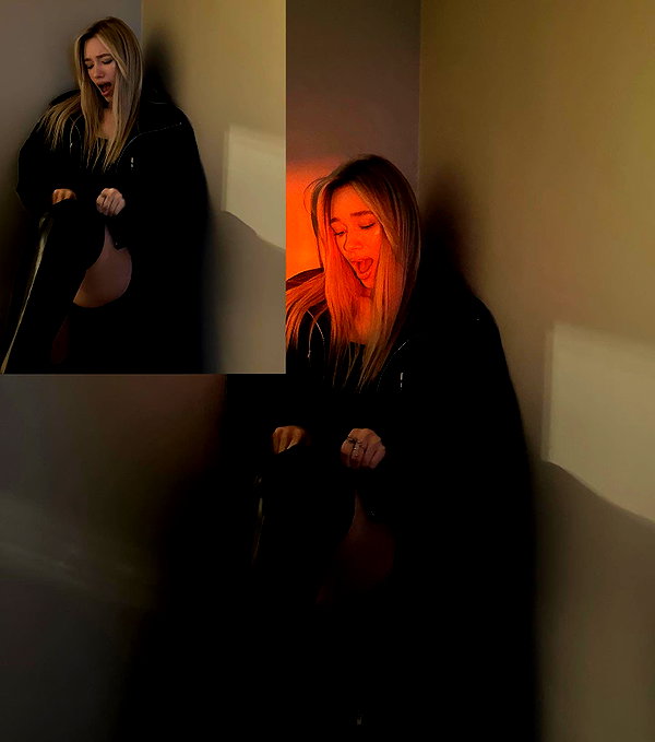 avestanova instagram image archive image