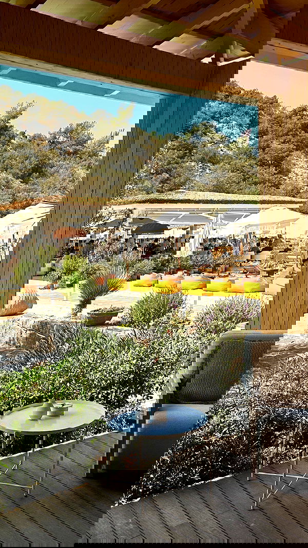 taylor.creeden taylor.creeden archive image