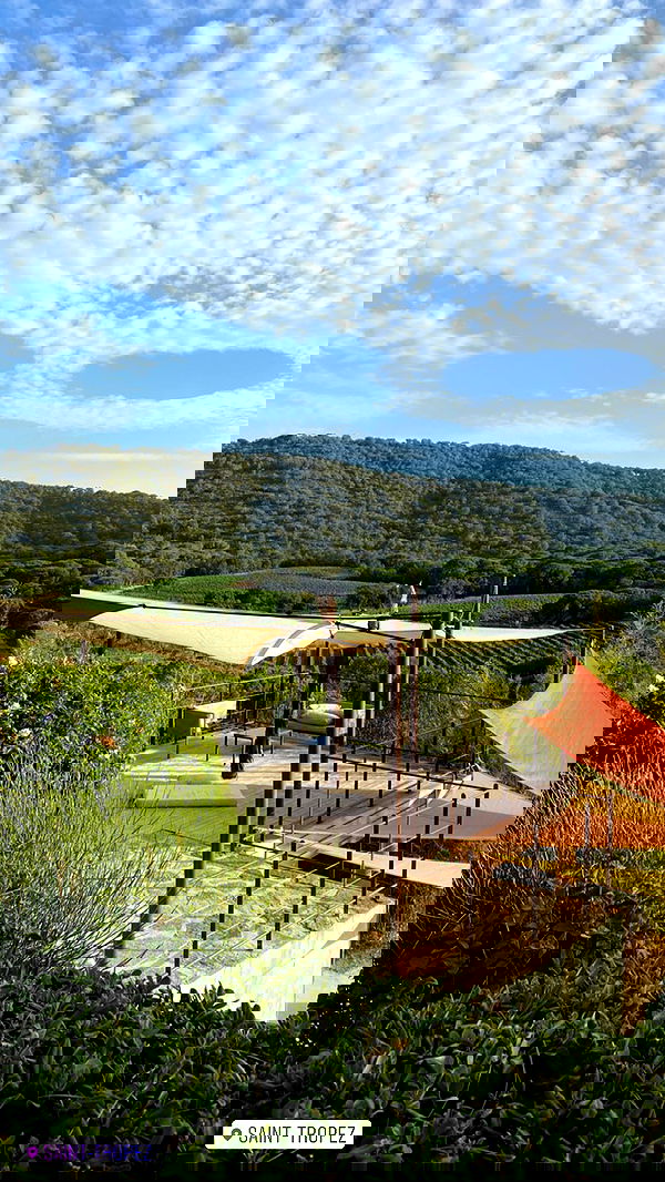 taylor.creeden taylor.creeden archive image