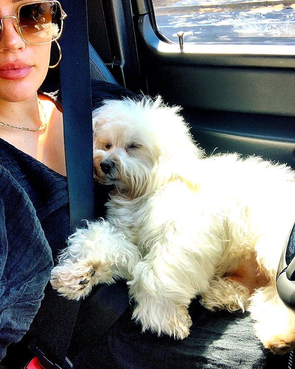 lucyhale instagram image archive image