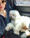 lucyhale Altpins Profile Picture