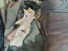 crocodile.notes Altpins Profile Picture