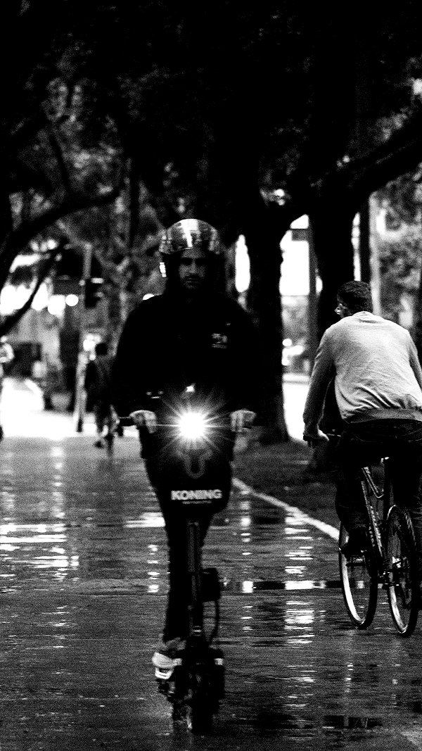 shaipearlman shaipearlman archive image