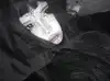 hanfbbae Altpins Profile Picture
