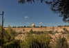 _femalien Altpins Profile Picture