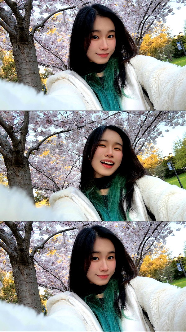 shulunc instagram image archive image